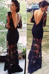 Lace Sheath Long Sleeve Prom Dress Evening Dress, Prom Gowns